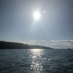 Meet your Posher, Monica